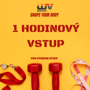 1 hodinový vstup gym